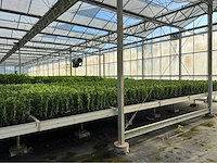 Frans van zaal aluminium kweektafel systeem - afbeelding 5 van  17
