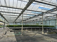 Frans van zaal aluminium kweektafel systeem - afbeelding 9 van  17
