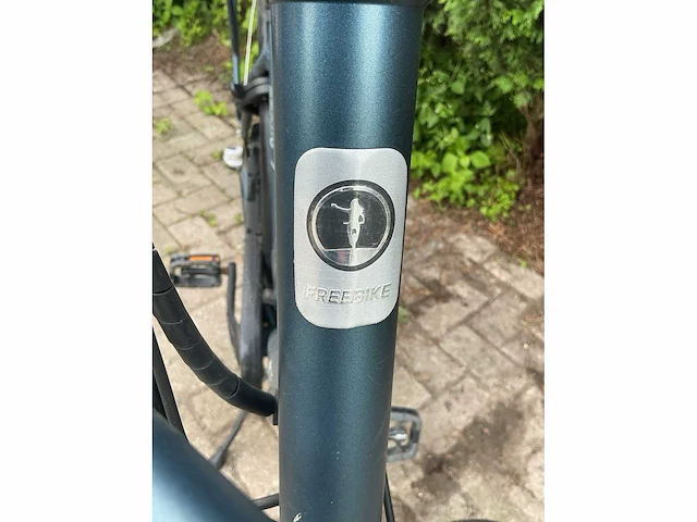 Freebike bronx elektrische damesfiets - afbeelding 10 van  16