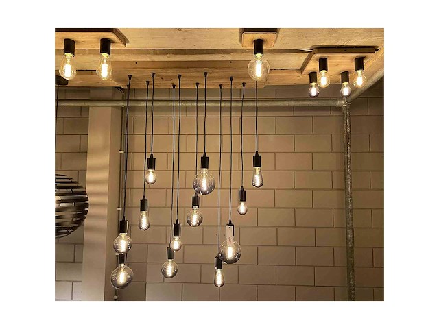 Freelight - lenoro h2712z - hanging lamp (12x) - afbeelding 3 van  4