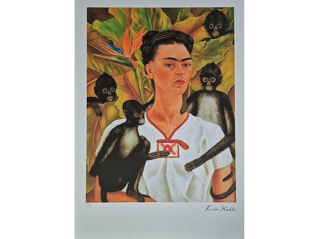 Frida kahlo - afbeelding 1 van  3