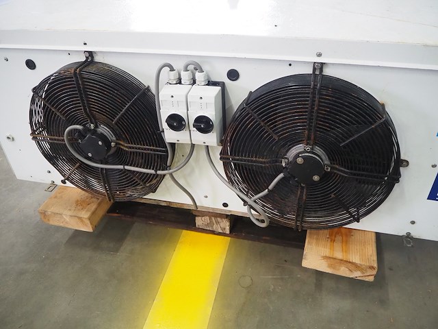 Friga-bohn - afbeelding 4 van  5