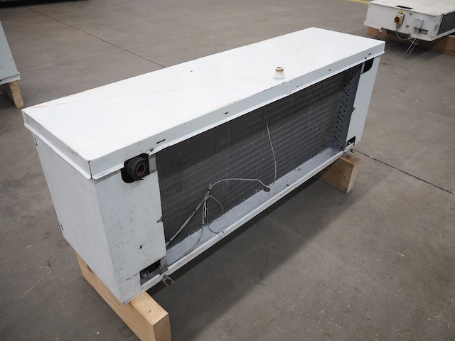 Friga-bohn - afbeelding 4 van  9