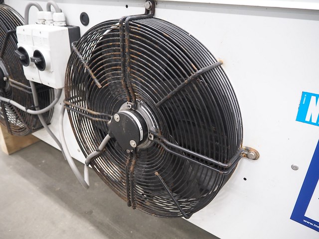 Friga-bohn - afbeelding 5 van  9