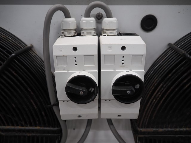 Friga-bohn - afbeelding 7 van  9