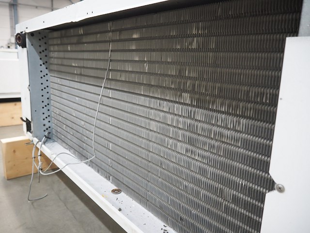 Friga-bohn - afbeelding 8 van  9