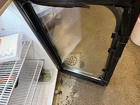 Frigoglass - icool-150 - glasdeur koelkast - afbeelding 1 van  1