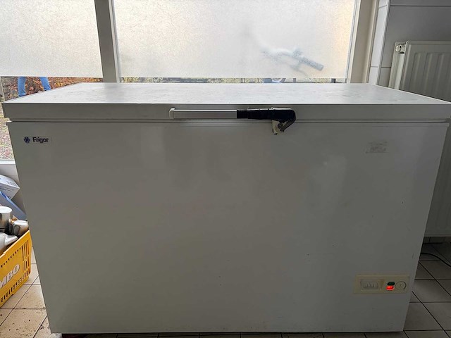Frigor - vrieskist - afbeelding 1 van  5