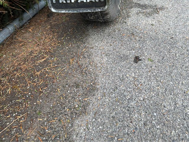 Fripaan haspelwagen - afbeelding 6 van  9