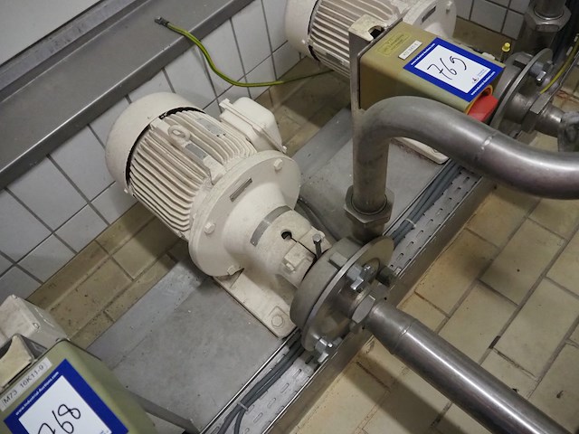 Fristam - afbeelding 1 van  7