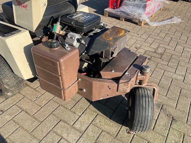 Frondmaaier zitmaaier grasshopper - afbeelding 2 van  10