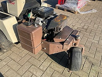 Frondmaaier zitmaaier grasshopper - afbeelding 2 van  10