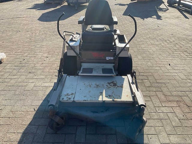 Frondmaaier zitmaaier grasshopper - afbeelding 10 van  10