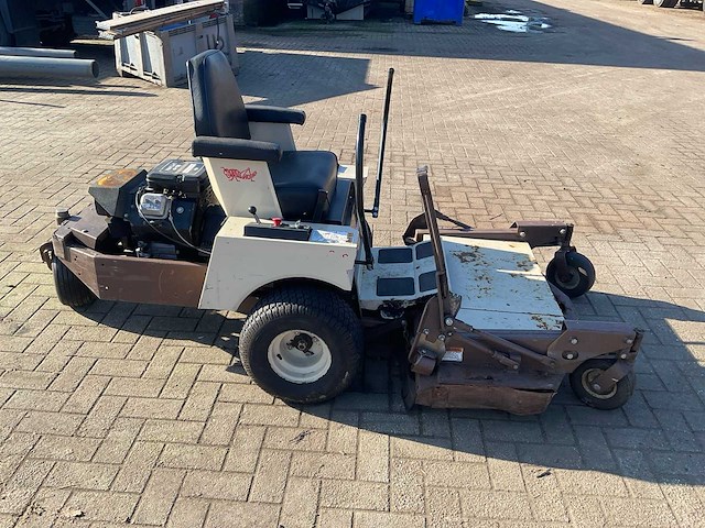 Frondmaaier zitmaaier grasshopper - afbeelding 4 van  10