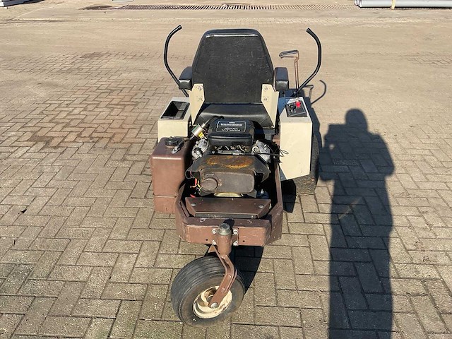 Frondmaaier zitmaaier grasshopper - afbeelding 5 van  10