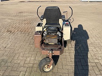 Frondmaaier zitmaaier grasshopper - afbeelding 5 van  10