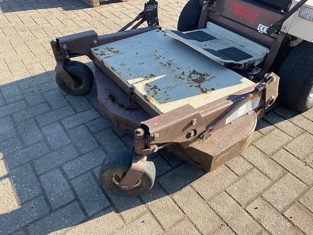 Frondmaaier zitmaaier grasshopper - afbeelding 7 van  10