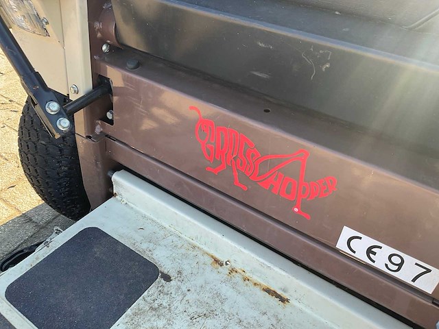 Frondmaaier zitmaaier grasshopper - afbeelding 8 van  10