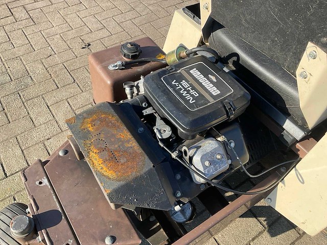 Frondmaaier zitmaaier grasshopper - afbeelding 9 van  10