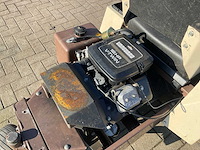 Frondmaaier zitmaaier grasshopper - afbeelding 9 van  10