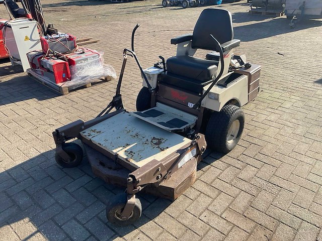 Frondmaaier zitmaaier grasshopper - afbeelding 1 van  11