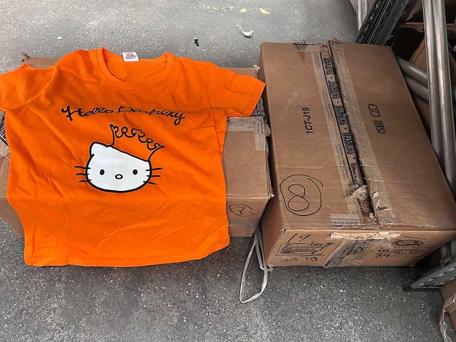 Fruit of the loom - t-shirts beatrixy (265x) - afbeelding 4 van  4