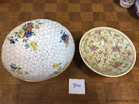 Fruitvergiet 2stuks - afbeelding 1 van  3