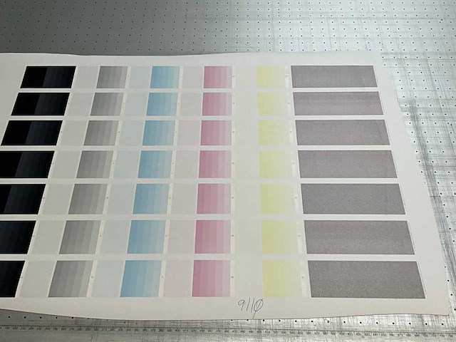 Fujifilm - acuity advance - uv flatbed printers - 2011 - afbeelding 5 van  20