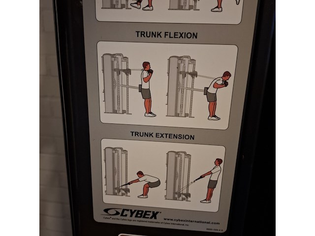 Functional trainer cybex, bravo - afbeelding 2 van  19