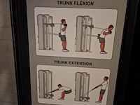 Functional trainer cybex, bravo - afbeelding 2 van  19