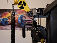 Functional trainer cybex, bravo - afbeelding 5 van  19