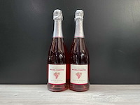 Furdyna champagne rose nv (2x) - afbeelding 1 van  3