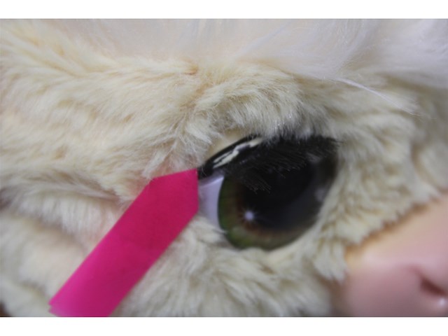 Furreal maggie de koe interactieve pluchen knuffel - afbeelding 6 van  6