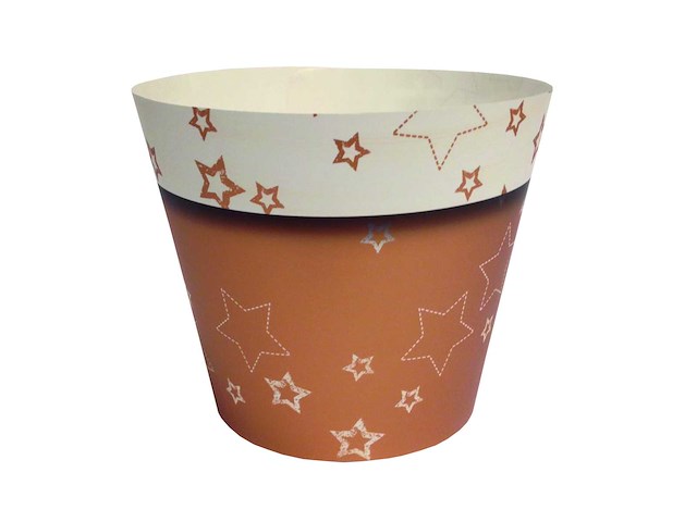 Fw heavenly stars cover brons (6200x) - afbeelding 1 van  1