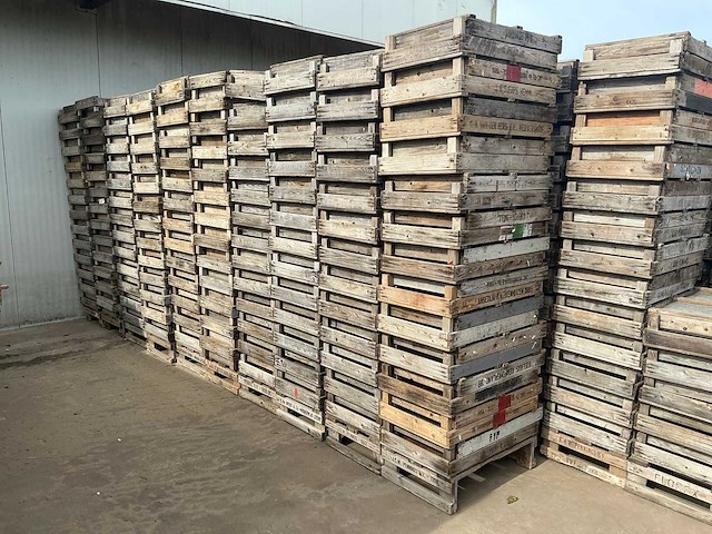 Gaasbak (1180x) - afbeelding 4 van  5