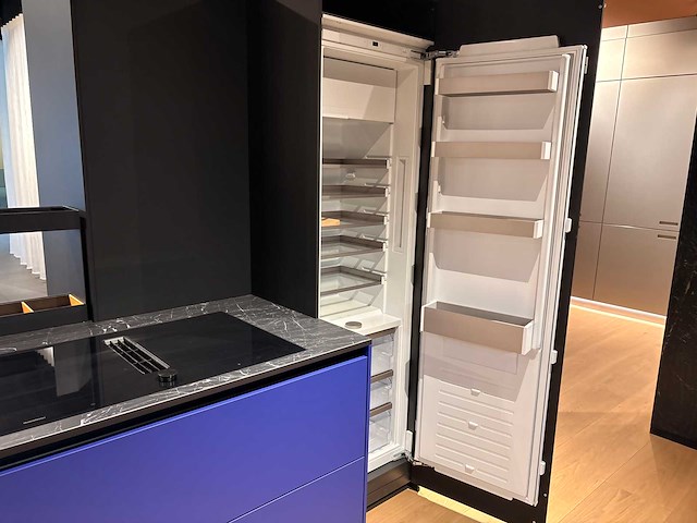 Gaggenau - rt289370/02 - koelkast (c) - afbeelding 1 van  3