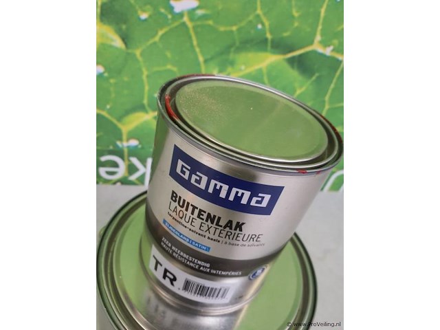 Gamma buitenlak tr - 2 emmers á 0.75 & 2.5ltr - afbeelding 2 van  5