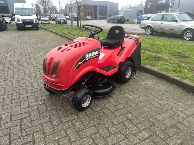 Gamo zitmaaier - afbeelding 1 van  8