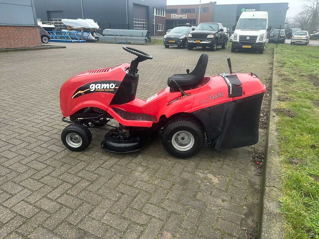 Gamo zitmaaier - afbeelding 4 van  8