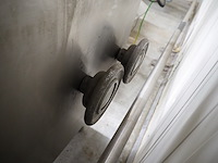 Ganzhorn + stirn - afbeelding 6 van  7