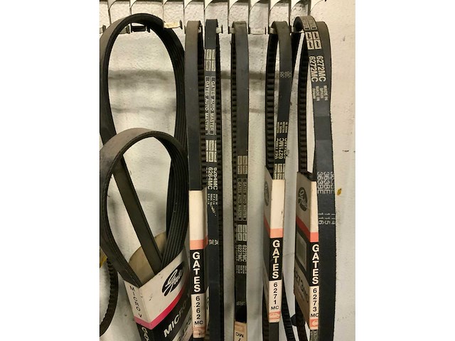 Gates tandriemen op rek - afbeelding 4 van  4