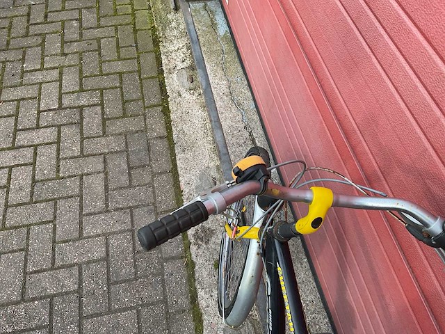 Gazella cheetah fiets - afbeelding 4 van  6