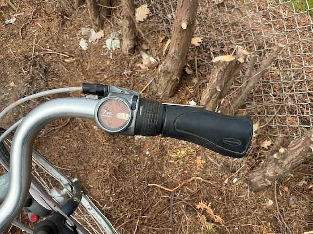 Gazelle city furore herenfiets aluminium - afbeelding 2 van  5