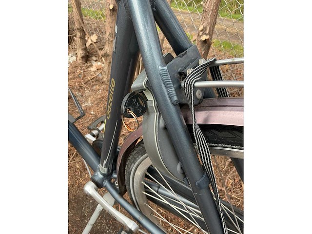 Gazelle city furore herenfiets aluminium - afbeelding 3 van  5