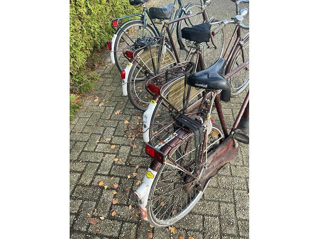 Gazelle fiets (4x) - afbeelding 7 van  8