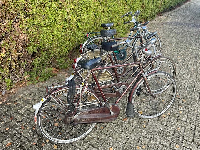Gazelle fiets (4x) - afbeelding 8 van  8