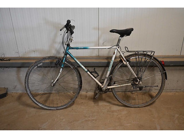 Gazelle formula herenfiets - afbeelding 1 van  3