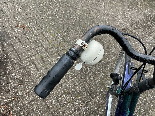 Gazelle free damesfiets - afbeelding 3 van  12
