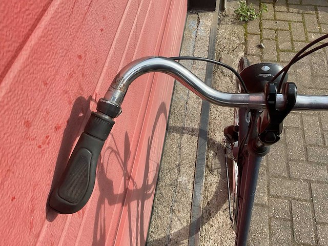 Gazelle impala fiets - afbeelding 4 van  5