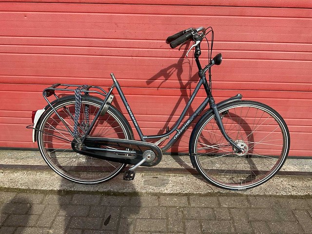 Gazelle impala fiets - afbeelding 5 van  8